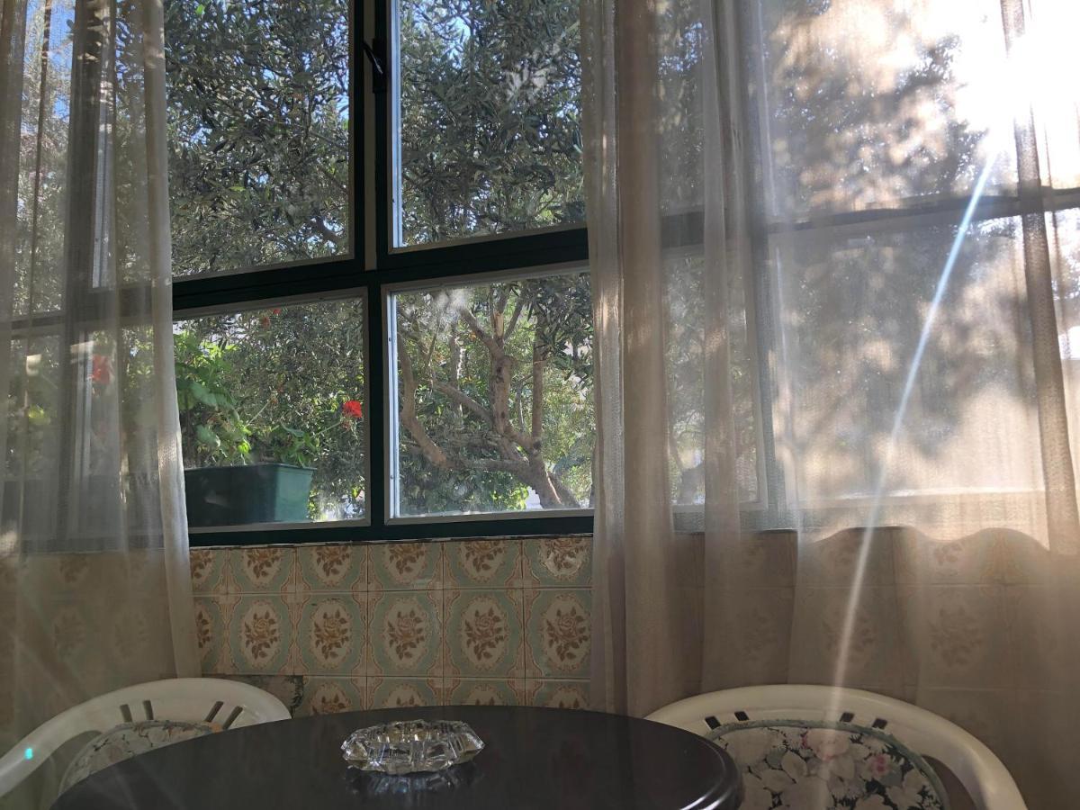 Garden Apartman Split Eksteriør billede